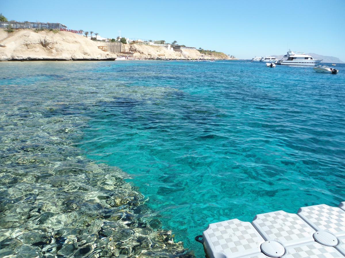 Sharks Bay Oasis Apartment Sharm el-Sheikh Luaran gambar