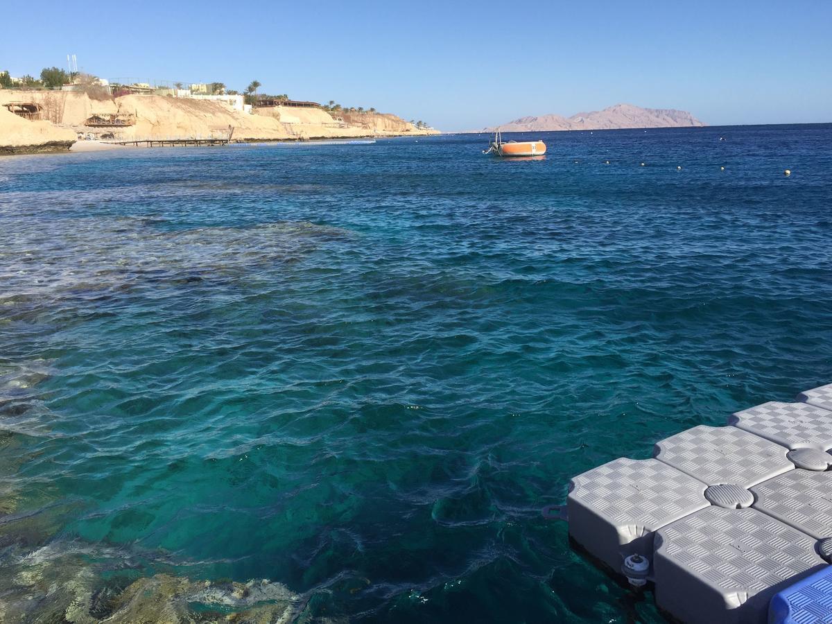 Sharks Bay Oasis Apartment Sharm el-Sheikh Luaran gambar