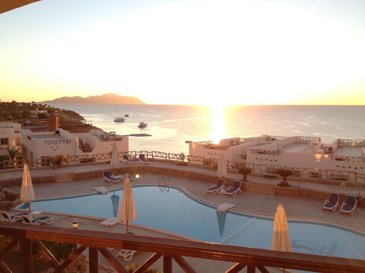 Sharks Bay Oasis Apartment Sharm el-Sheikh Luaran gambar
